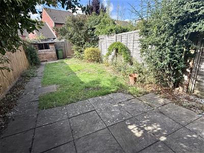 Picture 15